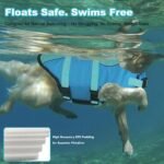 Dogcheer Dog Life Jacket, Cute Shark Dog Life Vest for Swimming Boating with Superior Buoyancy and Rescue Handle, Adjustable Puppy Floating Swim Vest for Small Medium Large Dogs - Pool Blue, XS - Image 4