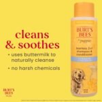 Burts Bees Tearless Puppy Shampoo & Conditioner with Buttermilk, 16 Fl Oz - Image 3