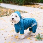 Dog Raincoat, Waterproof Dog Rain Jacket with Hood, Rain Coat with Leash Hole, Reflective Strap for Small Medium Dogs, Outdoor Adventures/Walking Lightweight Puppy (Blue,M) - Image 6