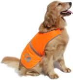 Dog Reflective Vest High Visibility Safety Jacket, Orange, XL - Image 4
