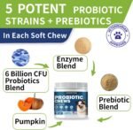 Probiotics for Dogs, Yeast, Itchy Skin Itchy Ears, Gut Health - Image 3