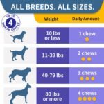 Probiotics for Dogs, Yeast, Itchy Skin Itchy Ears, Gut Health - Image 6