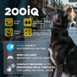 Dogtra 200iQ Professional Remote Training E Collar - 1/2 Mile, 100 Precision Levels, IPX9K Waterproof, Tone & Vibration – Seamless No-Look Control Off-Leash Confidence for Dogs 10lb+ - Image 7