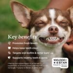 PetLab Co. ProBright Dental Powder for Small Dogs - Image 3