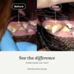 PetLab Co. ProBright Dental Powder for Small Dogs - Image 7