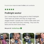 PetLab Co. ProBright Dental Powder for Small Dogs - Image 8