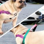 Didog No Pull Dog Harness for Medium Dogs, Soft Padded Handle, Dark Green,M - Image 3