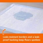Amazon Basics Leak-Proof Dog and Puppy Potty Training Pee Pads with Quick-Dry 5-Layer Surface, Standard Absorbency, Giant Size, 27.5 x 44 Inch, Blue & White, 40-Pack - Image 3