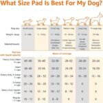 Amazon Basics Leak-Proof Dog and Puppy Potty Training Pee Pads with Quick-Dry 5-Layer Surface, Standard Absorbency, Giant Size, 27.5 x 44 Inch, Blue & White, 40-Pack - Image 4