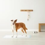 Amazon Basics Leak-Proof Dog and Puppy Potty Training Pee Pads with Quick-Dry 5-Layer Surface, Standard Absorbency, Giant Size, 27.5 x 44 Inch, Blue & White, 40-Pack - Image 6
