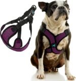 Gooby Comfort X Step-in Lite Harness, Choke-Free, Purple, X-Large - Image 3