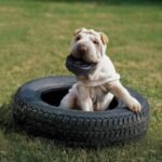 KONG Extreme Tires Natural Rubber Chew Toy, for Medium/Large Dogs - Image 4
