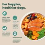 Jinx Grain Free Dry Dog Food, Small Breed - Real Salmon, 4lb - Image 3
