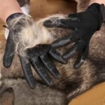 Pet Grooming Glove – Patented Rubber-Massage Shedding Bath & Hair Remover for Dogs, Cats & Livestock – Lightweight, Flexible, Secure Fit (Black) - Image 3