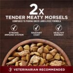 Purina ONE True Instinct Dry Dog Food, Real Turkey & Venison, 27.5 lb Bag - Image 7