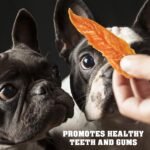 Beloved Pets Dog Treats Chicken Jerky 1.5 lb – Dog Food & High Protein Chews for Large, Medium & Small Breeds – Natural Healthy Training Snacks Strips – Human Grade Bulk Soft Pack – Made for USA - Image 4