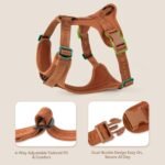 Sunraymascota Dog Harness,Soft Lycra Puppy Vest for Small Sized Dogs - Image 6