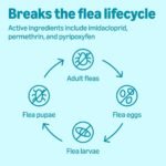 Amazon Basics Preventative Flea, Tick & Mosquito Topical Treatment for X-Large Dogs (Over 55 pounds), Kills Fleas, Long-Lasting, 6 Count, Packaging May Vary - Image 5