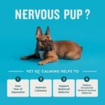VetIQ Advanced Calming Support Chews for Dogs, Anxiety, 60ct - Image 3