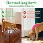 EliteField Elevated Dog Bowls, 2 Stainless Steel Bowls (2-Year Warranty) - Image 3
