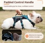 Huntboo Escape Proof Dog Harness, Service Dog Vest Harness with 6 Patches, No-Pull, Reflective Harness with Handle, Adjustable for Small to Large Dogs, for Training and Hiking (Teal, M) - Image 4