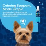 NaturVet Quiet Moments Herbal Calming Room Spray Dog Supplement - 8 oz - Image 3