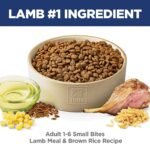 Hill's Science Diet Adult 1-6 Small Bites Dry Dog Food - Image 3