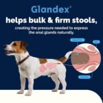 Vetnique Glandex for Dogs Anal Gland Chews 30ct Pumpkin + Digestive Enzymes - Image 5