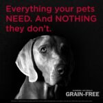 Diamond Naturals Grain Free Real Meat Recipe Premium Dry Dog Food With Real Pasture Raised Beef 5Lb - Image 5