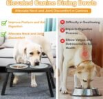 Adjustable Elevated Dog Bowls Stand – 4-Level Height Portable Feeder with Collapsible Silicone Bowls, Non-Slip Base for Medium & Large Dogs – Travel Dog Bowl & Water Dish - Image 3