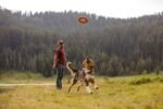 Ruffwear, Hydro Plane Flying Disc Dog Toy, Tangelo Orange, 12", Large - Image 5