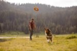 Ruffwear, Hydro Plane Flying Disc Dog Toy, Tangelo Orange, 12", Large - Image 6