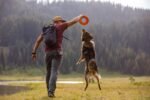 Ruffwear, Hydro Plane Flying Disc Dog Toy, Tangelo Orange, 12", Large - Image 7