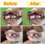 10 Pack Pet Dog Toothbrush, 2 Triple Head Pet Toothbrushes 3 Double Head Tooth Brush 5 Pack Finger Rubber Toothbrushes, Multi-Angle Dental Cleaning Brushes for Dog Cat Oral Dental Health - Image 5