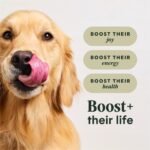 Instinct RawBoost, Dry Dog Food + Freeze Dried, Real Beef, 20 lb. Bag - Image 4
