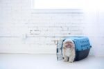 Petmate Fashion Vari Dog Kennel, 24in, for Pets 10-20lbs, Light Blue - Image 7
