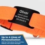 GoTags Reflective Dog Collar with Personalized Nameplate, Collar Tag Combo - Image 2