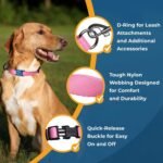 GoTags Reflective Dog Collar with Personalized Nameplate, Collar Tag Combo - Image 3