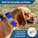 GoTags Reflective Dog Collar with Personalized Nameplate, Collar Tag Combo - Image 4