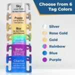 GoTags Reflective Dog Collar with Personalized Nameplate, Collar Tag Combo - Image 6