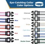 GoTags Reflective Dog Collar with Personalized Nameplate, Collar Tag Combo - Image 7