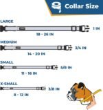 GoTags Reflective Dog Collar with Personalized Nameplate, Collar Tag Combo - Image 8