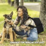BAGLHER Dog Travel Bag, Dog Travel Backpack for Supplies, Black - Image 7