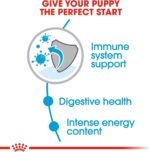 Royal Canin Size Health Nutrition Small Puppy Dry Dog Food, 4 lb Bag - Image 4