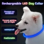 Weewooday 3 Pcs Light up Dog Collar LED USB Rechargeable, 3 Natural Colors - Image 4