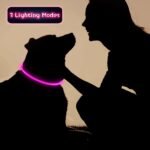 Weewooday 3 Pcs Light up Dog Collar LED USB Rechargeable, 3 Natural Colors - Image 5