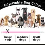 Weewooday 3 Pcs Light up Dog Collar LED USB Rechargeable, 3 Natural Colors - Image 6