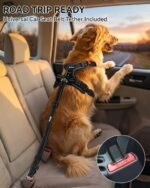 Joytale No Pull Dog Harness & Seat Belt, Easy On 3-Buckle, M, Black - Image 3