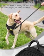 Joytale No Pull Dog Harness & Seat Belt, Easy On 3-Buckle, M, Black - Image 4