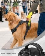 Joytale No Pull Dog Harness & Seat Belt, Easy On 3-Buckle, M, Black - Image 5
